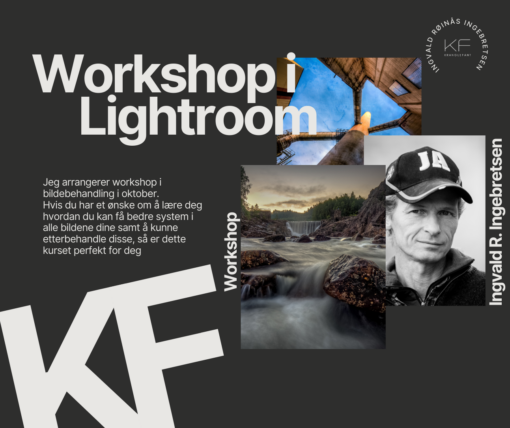 Workshop | Kurs | Bildebehandling